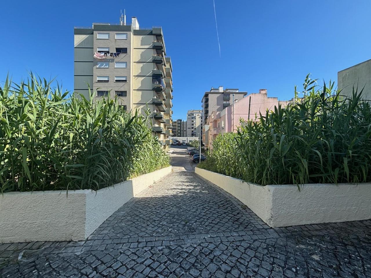 Rosario - Two Bedroom Apart- Buarcos - Фигейра-да-Фош Экстерьер фото
